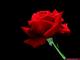   nawaf2220